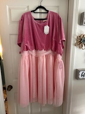 Ivy City Co Pink Velvet & Blush Tulle Two-Piece Dress